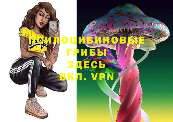 ECSTASY Армянск