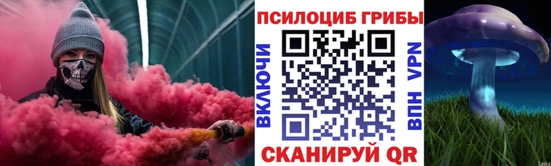 где продают   Оленегорск  Псилоцибиновые грибы мухоморы 